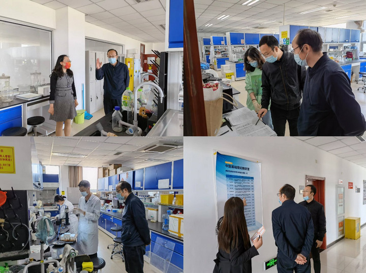 1650441692525075611.jpg 1.jpg