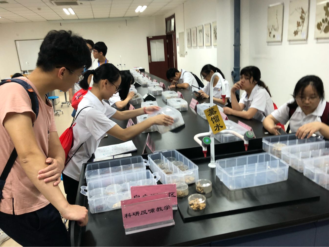 1532137024745029214.jpg 1532137024745029214.jpg