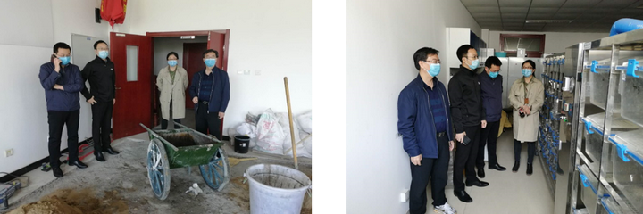 1588216002415007219.png 2.png