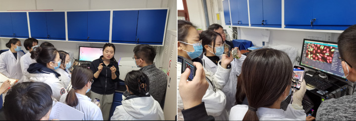 1681008236794087788.jpg 1.jpg