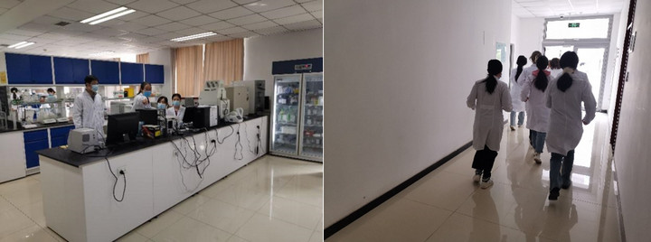 1682243861600088612.jpg 21.jpg