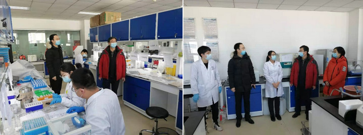 1612339033749079782.jpg 2.jpg